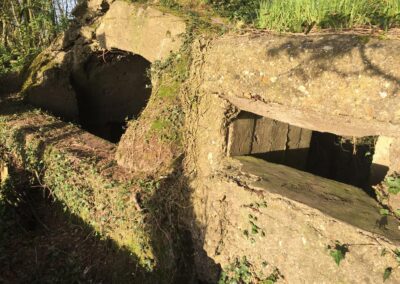 Vimy Ridge Commemoration